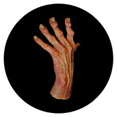 servicio-esculturas-y-protesis servicio-esculturas-y-protesis